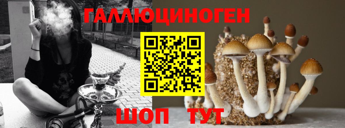 Галлюциногенные грибы Psilocybe  Вход с VPN  дарнет шоп  Татарск 