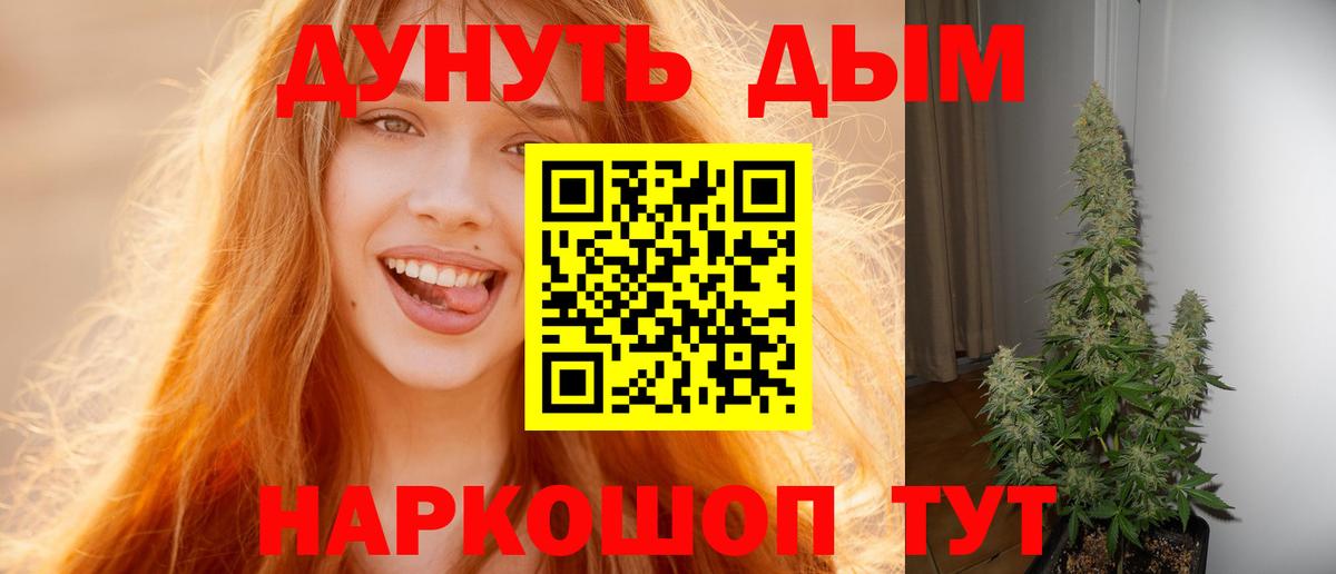 Каннабис White Widow  Марихуана план  Вход с VPN  Каннабис LSD WEED  Татарск  Бошки Шишки Amnesia 
